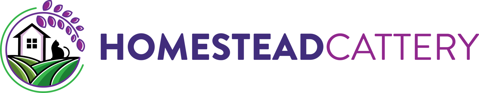 Cat Stay in Ashhurst - Homestead Cattery